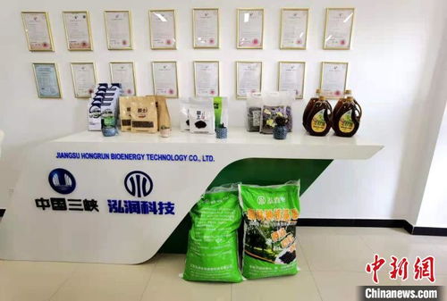 科技賦能長江生態修復 岸上綠意盎然，水中碧波重現